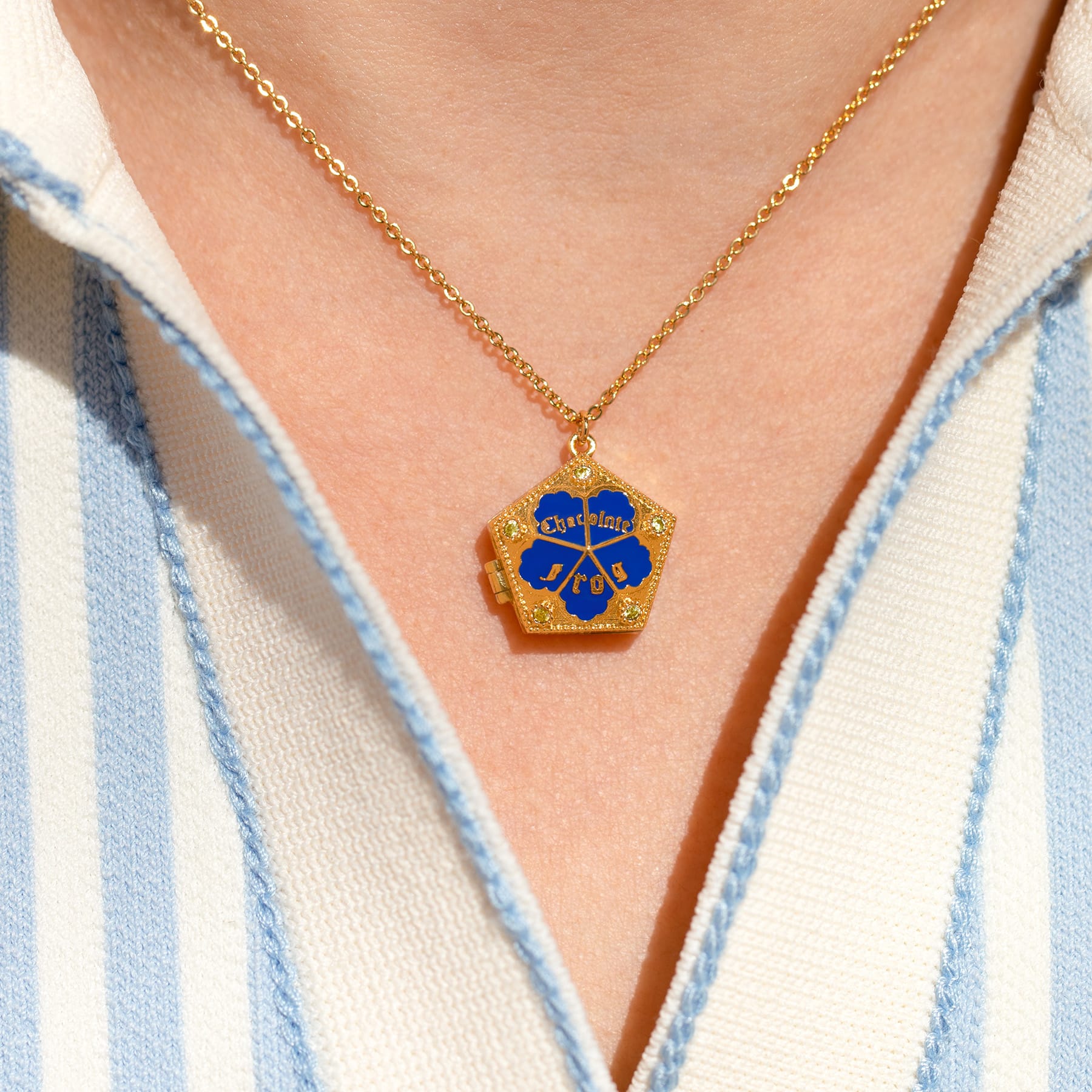 Harry Potter Chocolate Frog Locket Necklace