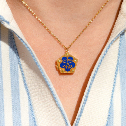 Harry Potter Chocolate Frog Locket Necklace