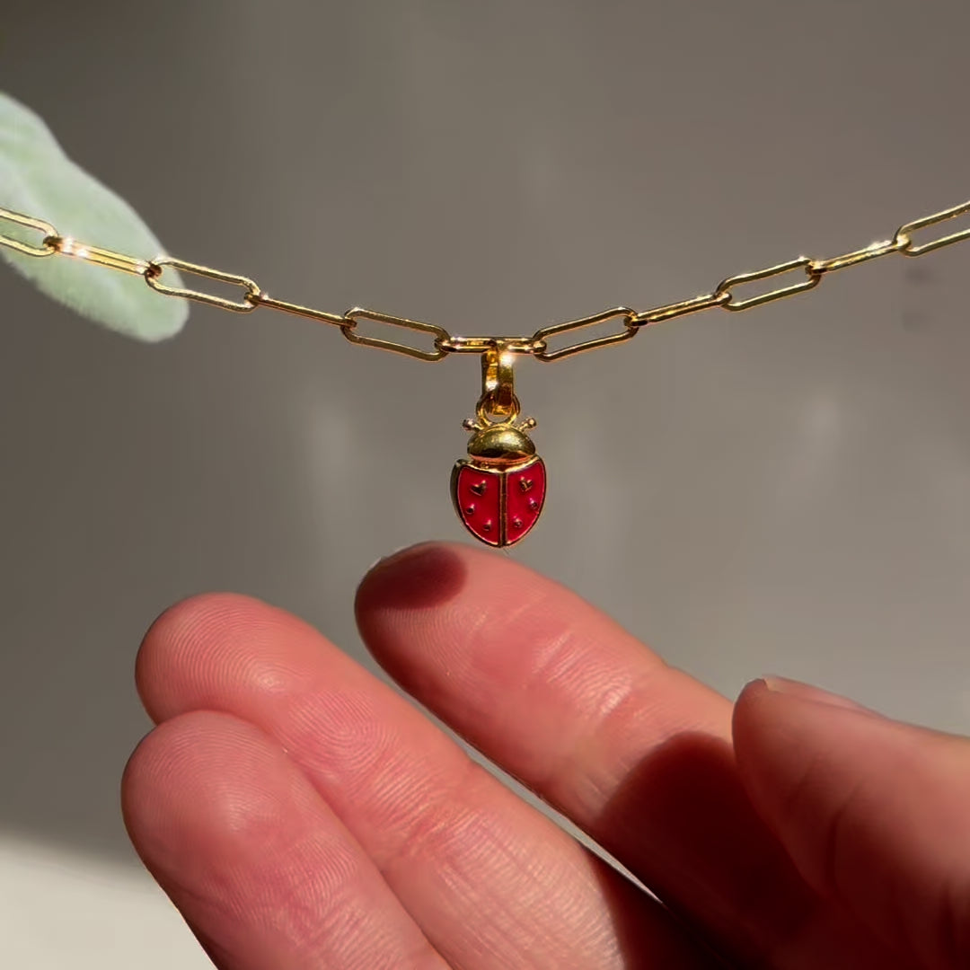 Ladybug Charm