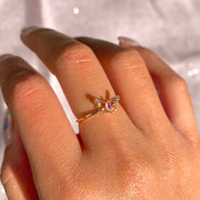 Aurelian Ring
